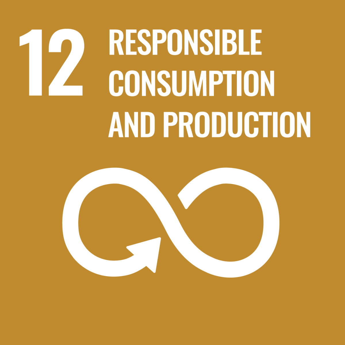 ODS 12 - Produção e Consumo Sustentáveis