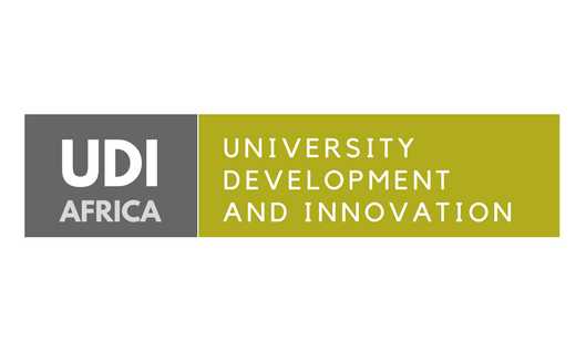 UDI Africa Logo
