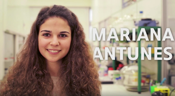 Mariana Antunes (FCT), Química Aplicada