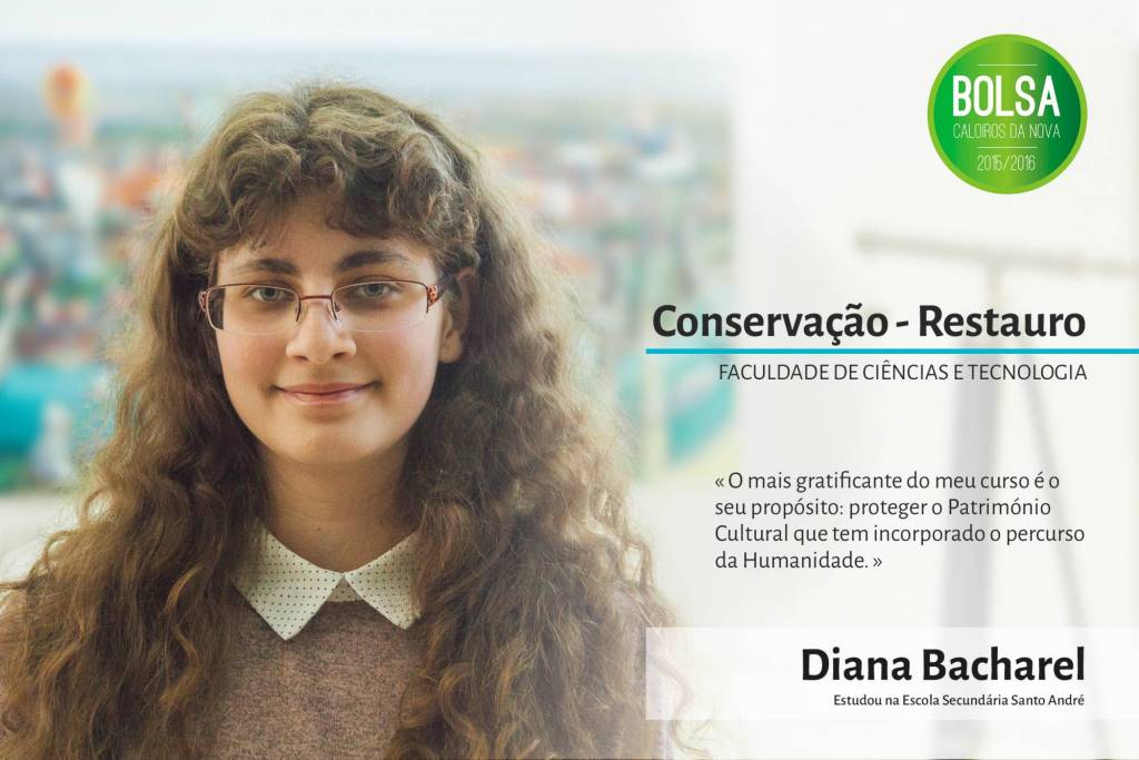 Diana Bacharel, Faculdade de Ciências e Tecnologia da NOVA