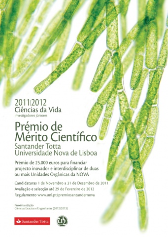 5.ª edição do Prémio Santander Totta/Universidade Nova de Lisboa
