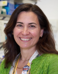 Sandra Tenreiro