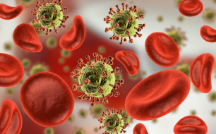CHRONIC DISEASE AND INFECTION