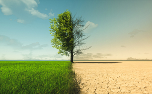CLIMATE CHANGE IMPACT ON PUBLIC HEALTH