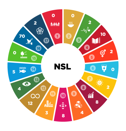NSL_2022-e1688482653174